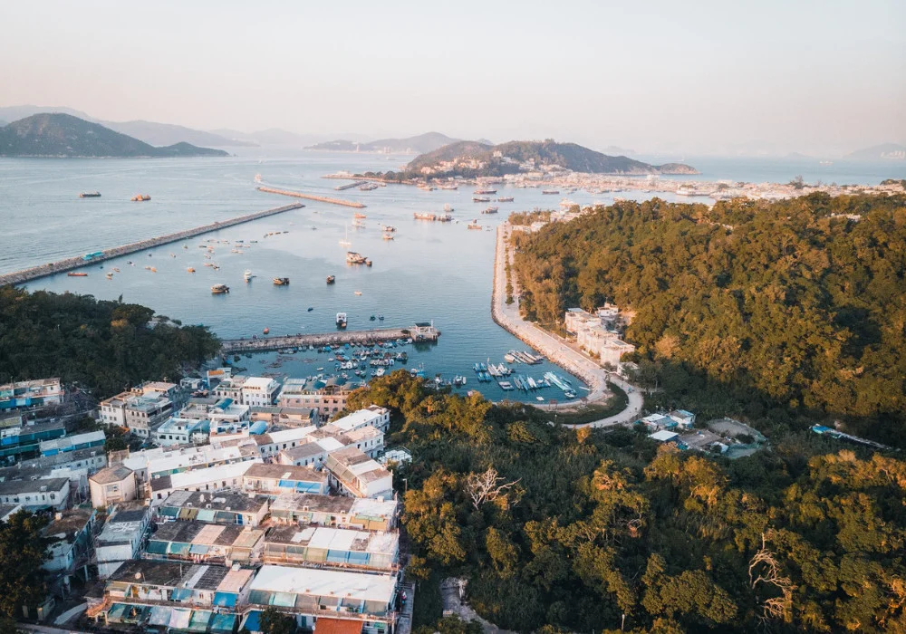 Shi Fu Miz Festival 2024 Featured Image