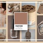 Pantone Mocha Mousse Featured Image