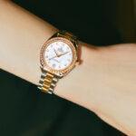 Omega 30 mm Aqua Terra Featured Image