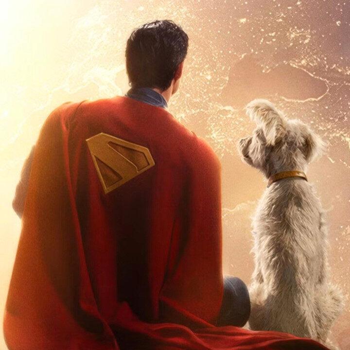 superman 2025 superman with krypto