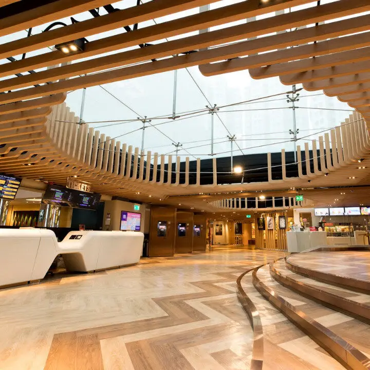 national day cinema discounts