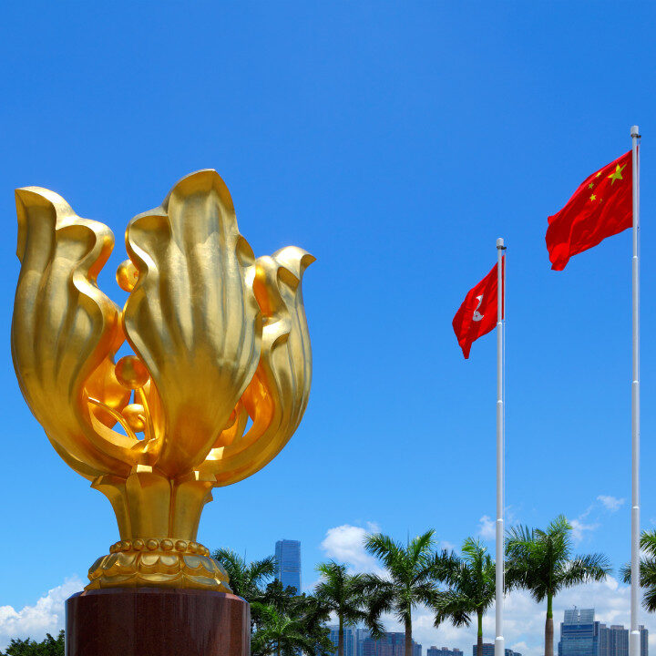 golden bauhinia square