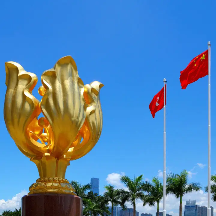 golden bauhinia square