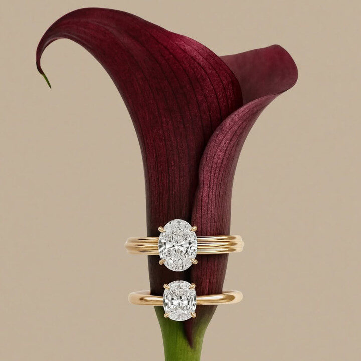 Engagement Rings Hong Kong James Allen