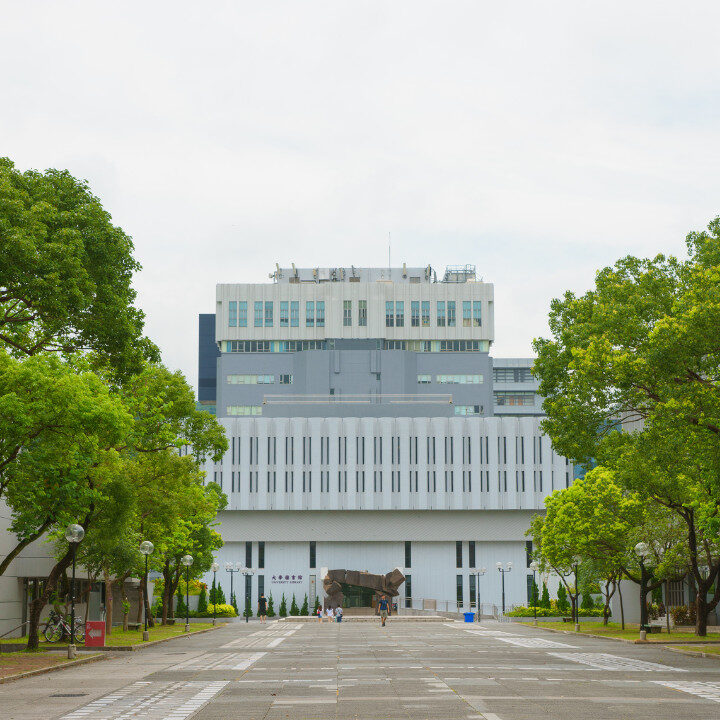the chinese university of hong kong