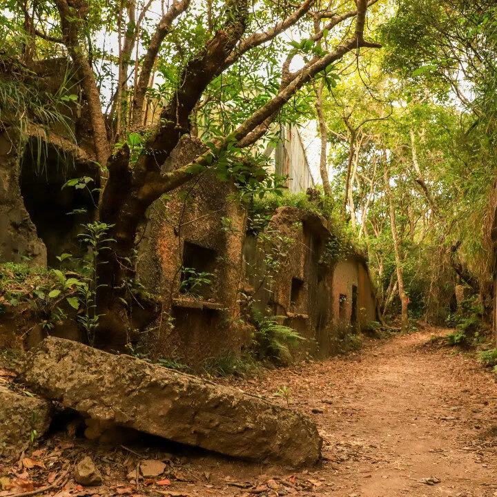 mount davis hong kong