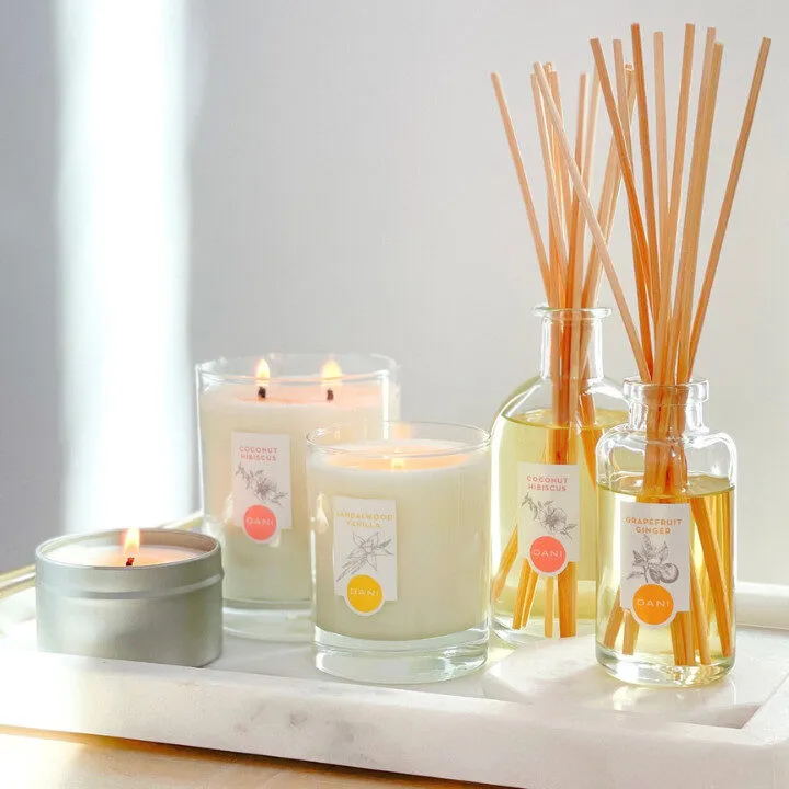 affordable christmas gifts dani naturals candle tin