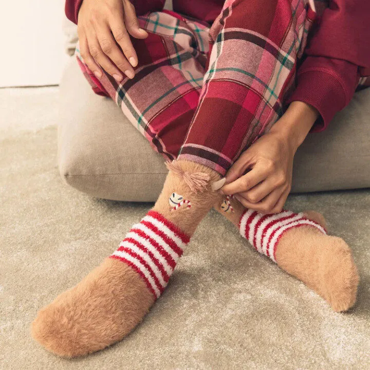 hamish highland cow socks in a gift box next