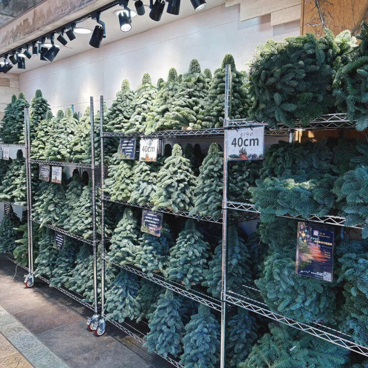 brighten-mall mini christmas trees