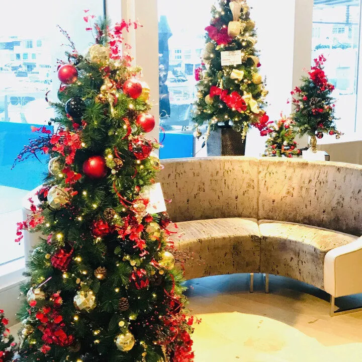 d'silva creations christmas trees