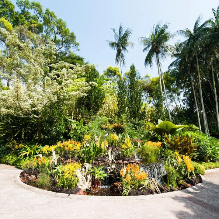 Singapore Botanic Gardens