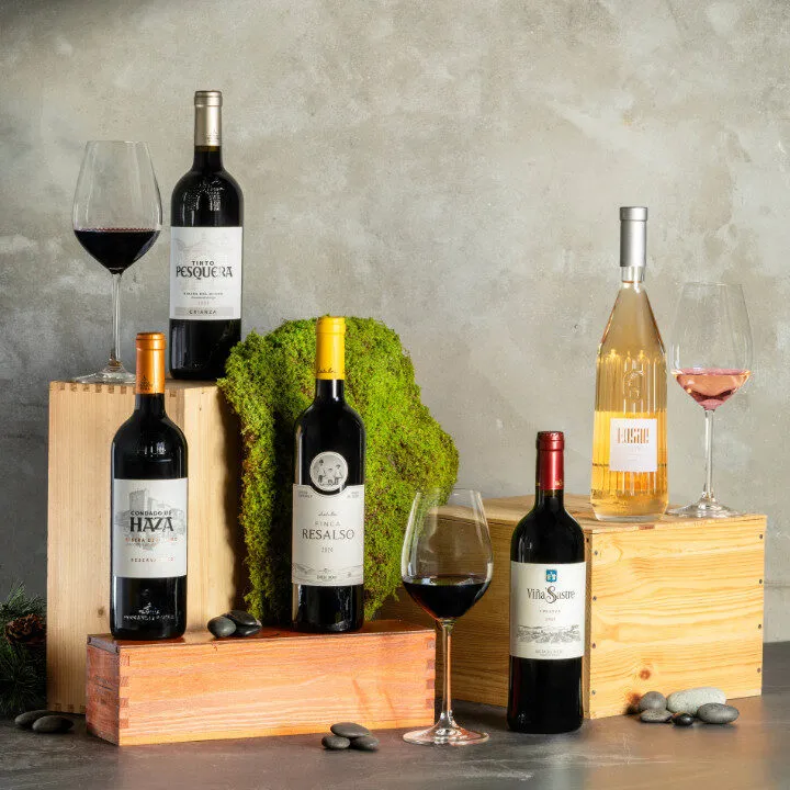 Ribera del Duero wines gifts for foodies