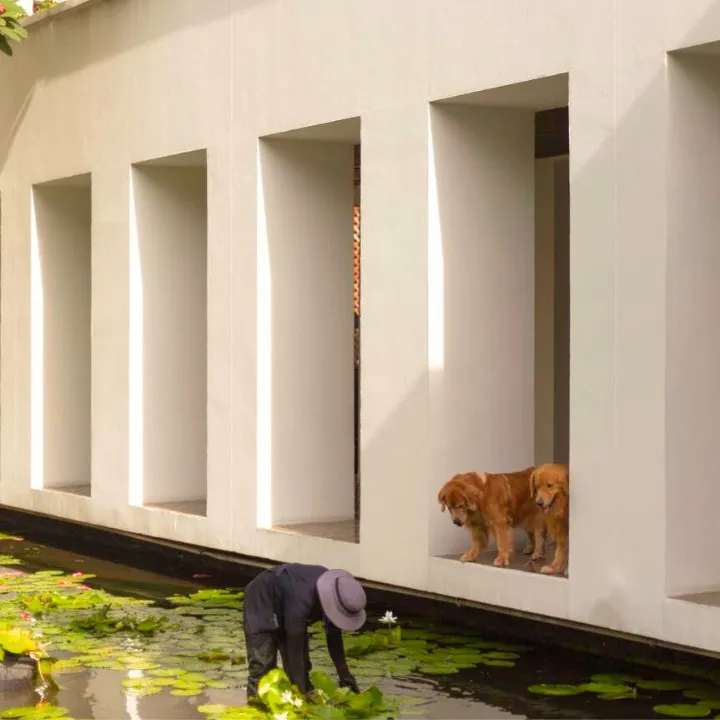 pet-friendly hotels bangkok The Sukhothai Bangkok