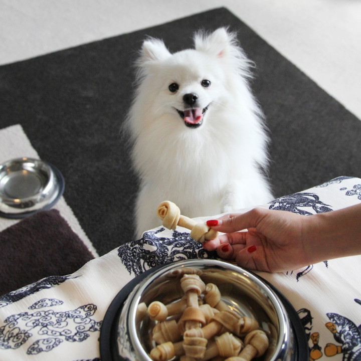 little white dog looking at bowl of bones at w bangkok