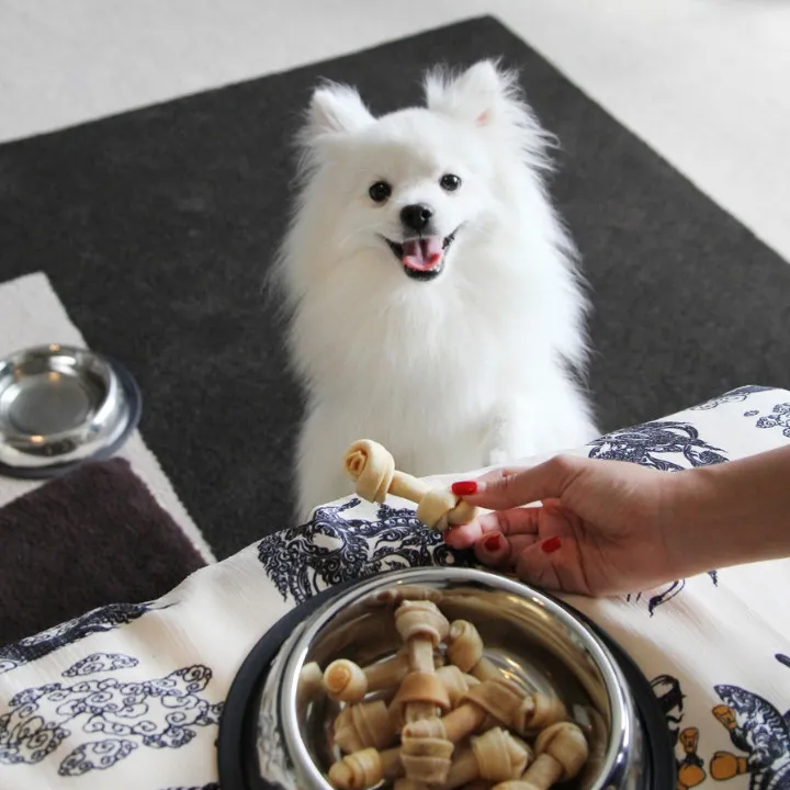 little white dog looking at bowl of bones at w bangkok