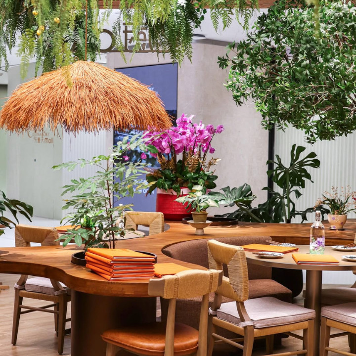 New Cafés In Hong Kong Tomacado Café