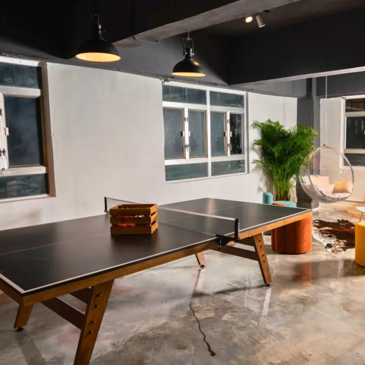 Project 21 ping pong table