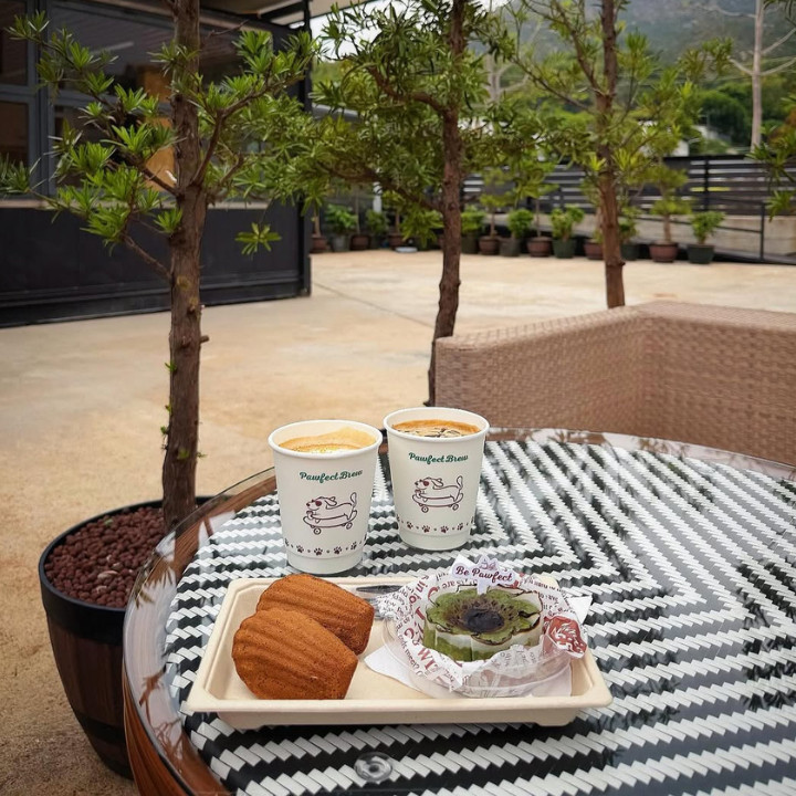 Best New Cafes In Hong Kong April 2026 Pawfect Brew