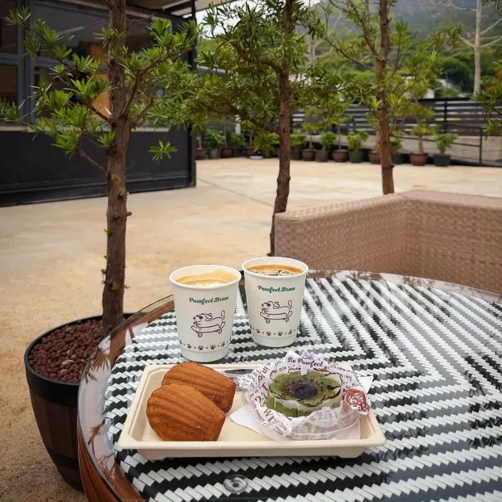 Best New Cafes In Hong Kong April 2026 Pawfect Brew