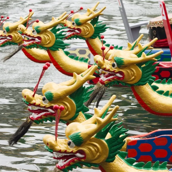 dragon boats