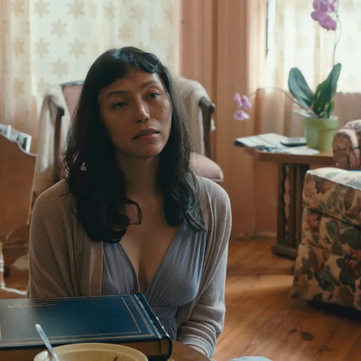 queer movies lingua franca