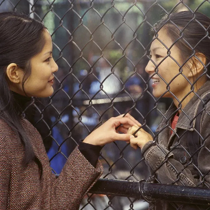 saving face queer movies