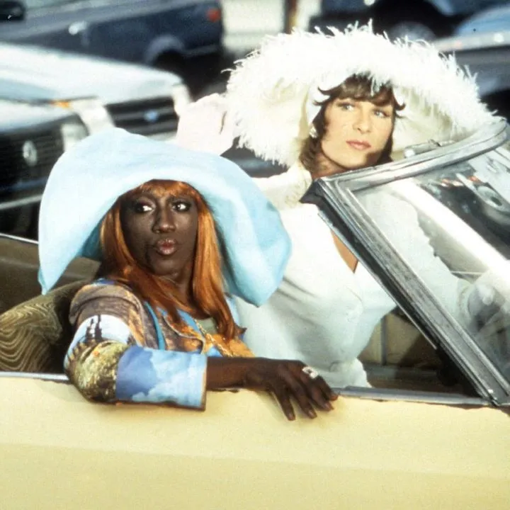 queer movies to wong foo