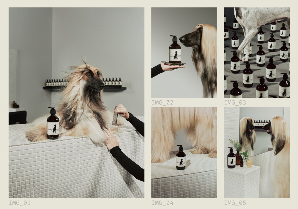 Aēsop Brings Its Animal Wash To Life At Hong Kong Paw Parlours