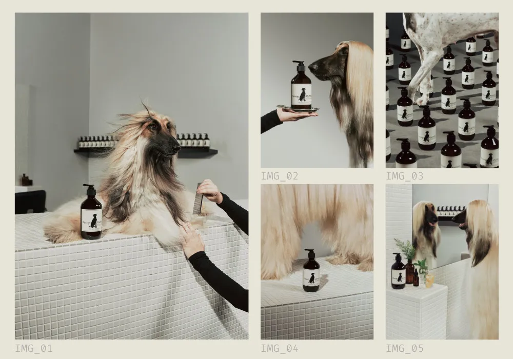 Aēsop Brings Its Animal Wash To Life At Hong Kong Paw Parlours