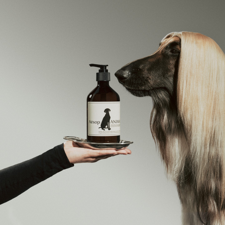 aesop animal wash paw parlour