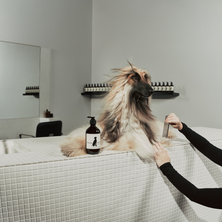aesop animal wash paw parlours